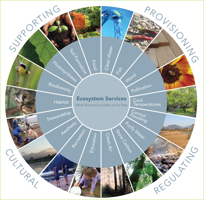 Ecosystem Services EnviroAtlas US EPA