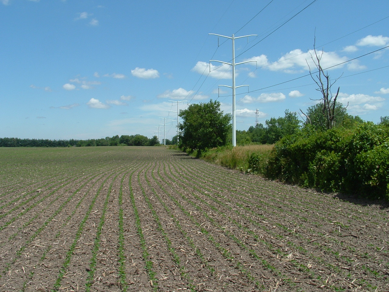 Home Page - Division of Agriculture and Natural Resources